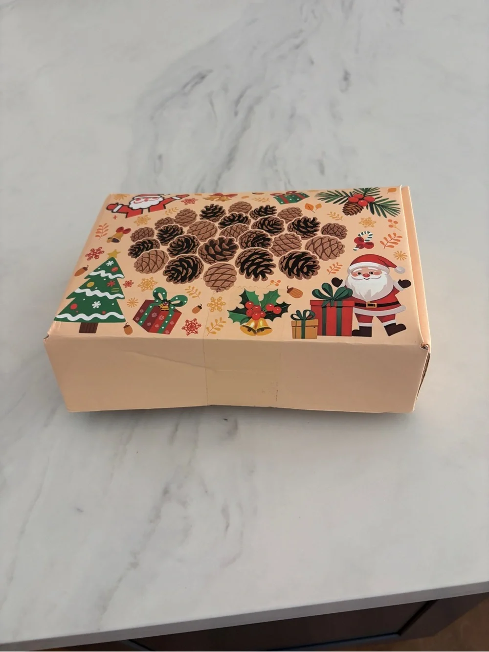 Natural Brown Pine Cone Mix for Home Holiday Decor